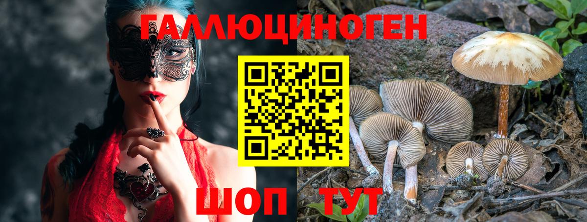 Тутаев  Галлюциногенные грибы MAGIC MUSHROOMS  Вход с VPN 